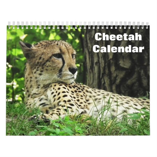 Gepard 2027 kalender (Titelbild)