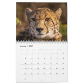 Gepard 2027 kalender (Jan 2027)