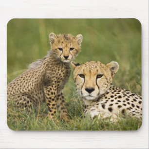 Gepard, Acinonyx jubatus, mit Jungtier Mousepad