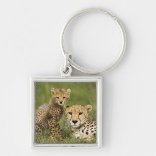 Gepard, Acinonyx jubatus, mit Jungtier Schlüsselanhänger