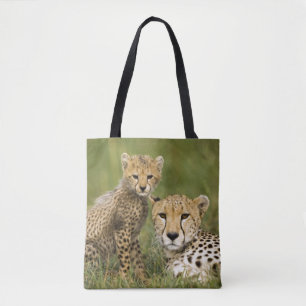 Gepard, Acinonyx jubatus, mit Jungtier Tasche