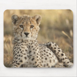 Gepard, Acinonyx jubatus Mousepad