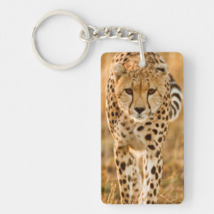 Gepard (Acinonyx Jubatus) Portrait, Maasai Schlüsselanhänger
