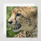 Gepard-Angriffs-Einladung Einladung (Vorne/Hinten)