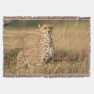 Gepard auf kleinem Hügel für bessere Sicht Decke