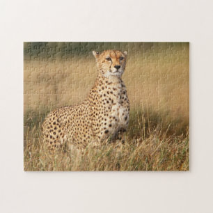 Gepard auf kleiner Anhöhe für bessere Sichtbarkeit Puzzle