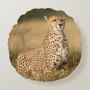 Gepard auf kleiner Anhöhe für bessere Sichtbarkeit Rundes Kissen