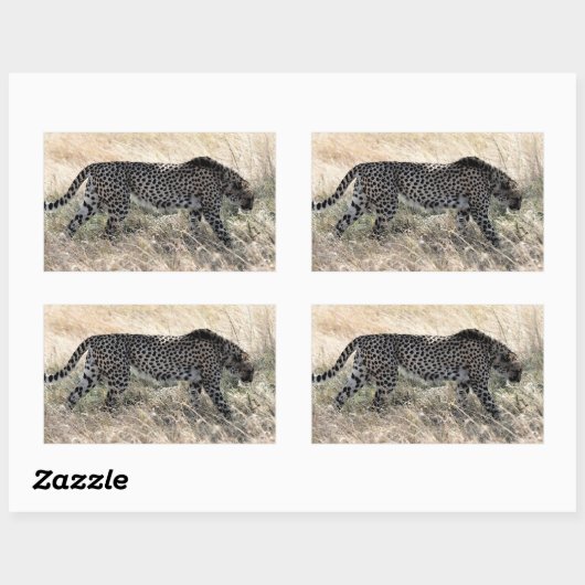 Gepard-Aufkleber 1 Rechteckiger Aufkleber (Blatt)