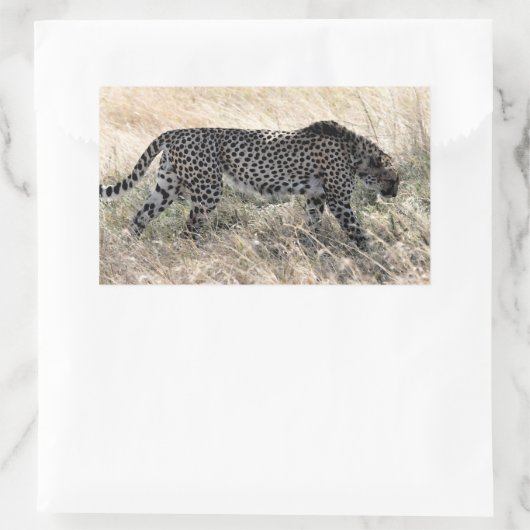 Gepard-Aufkleber 1 Rechteckiger Aufkleber (Tasche)
