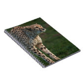 Gepard bereit notizblock (Rechte Seite)