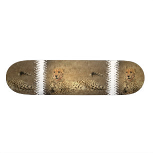 Gepard beschmutzt Skateboard