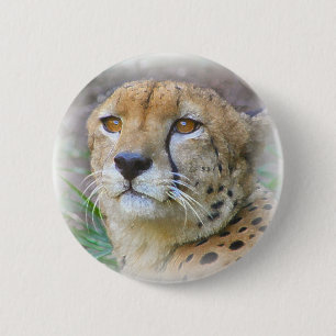 Gepard Button