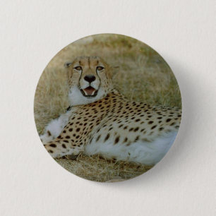 Gepard Button