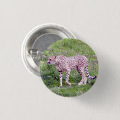 Gepard Button (Vorne & Hinten)