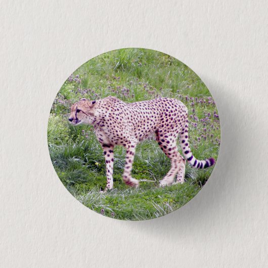 Gepard Button (Vorderseite)