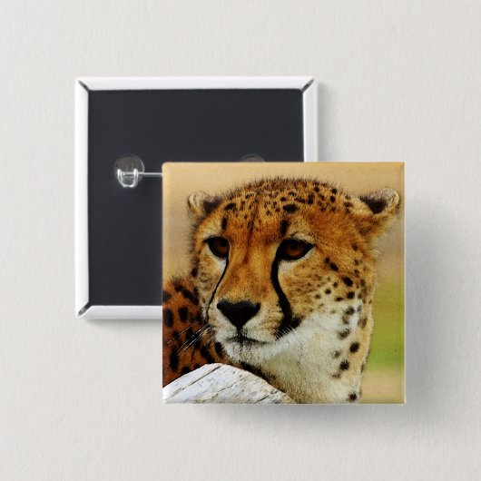 Gepard Button (Vorne & Hinten)