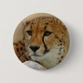 Gepard Button (Vorderseite)