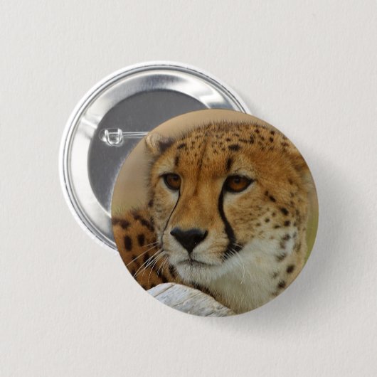 Gepard Button (Vorne & Hinten)