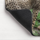 Gepard CUB, das Mausunterlage spielt Mousepad (Ecke)