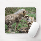 Gepard CUB, das Mausunterlage spielt Mousepad (Mit Mouse)
