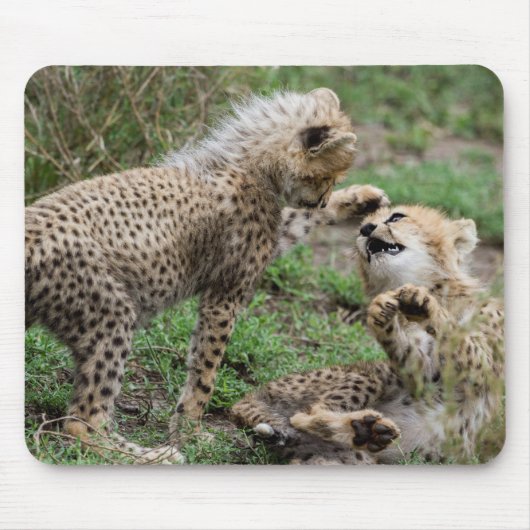 Gepard CUB, das Mausunterlage spielt Mousepad (Vorne)