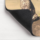 Gepard CUB Mousepad (Ecke)