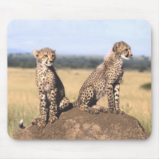 Gepard CUB Mousepad (Vorne)