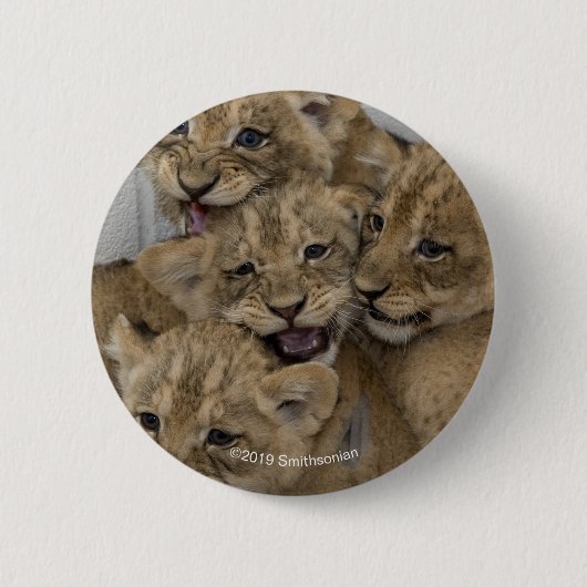 Gepard-CUB-Spielen Button (Vorderseite)
