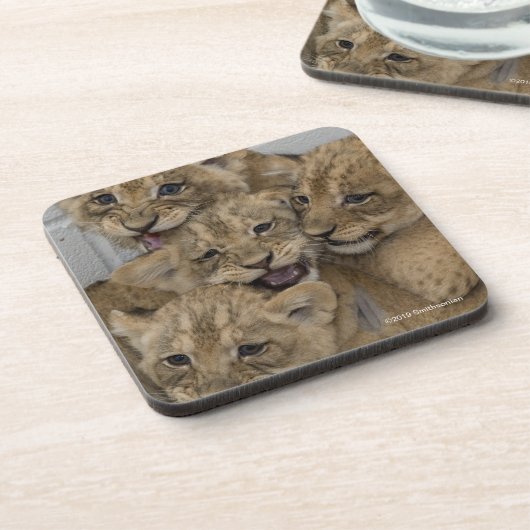 Gepard-CUB-Spielen Getränkeuntersetzer (Linke Seite)