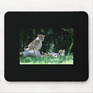 Gepard-Familie Mousepad