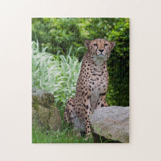 Gepard-Foto-Puzzle Puzzle (Vertikal)