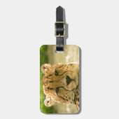 Gepard Gepäckanhänger (Vorderseite vertikal)