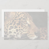 Gepard-Gesicht Briefpapier (Vorne/Hinten)