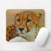 Gepard-Gesichts-wild lebende Tiere Mousepad (Mit Mouse)