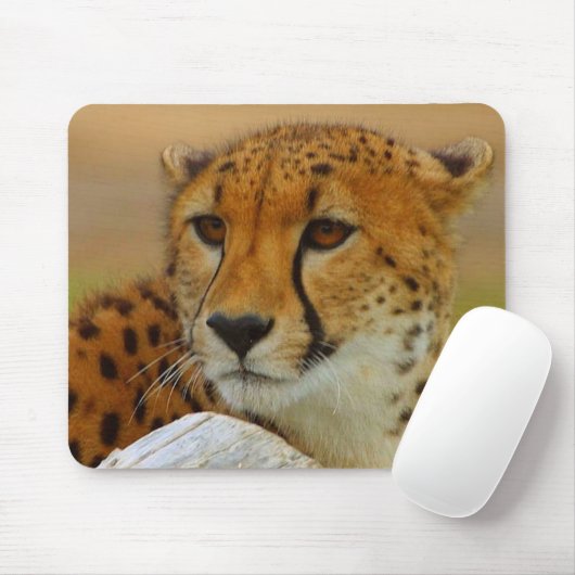 Gepard-Gesichts-wild lebende Tiere Mousepad (Mit Mouse)