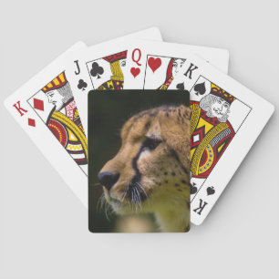Gepard-Herz Sie! Spielkarten