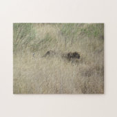 Gepard in Botswana, Afrika Puzzlespiel Puzzle (Horizontal)