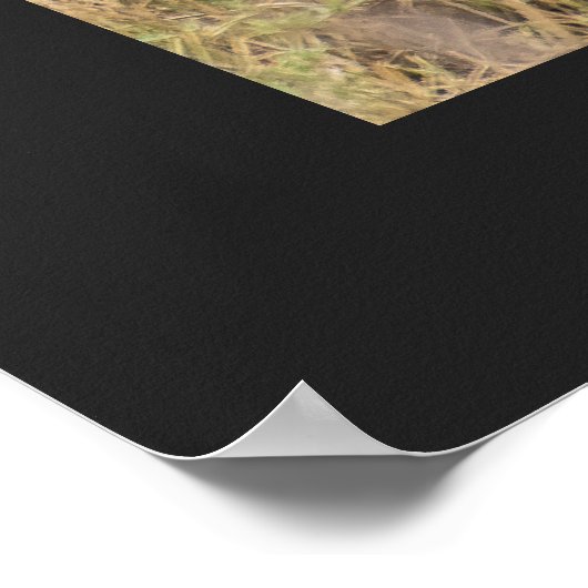 Gepard in ruhiger Kontemplation personalisieren Te Poster (Ecke)