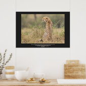 Gepard in ruhiger Kontemplation personalisieren Te Poster (Küche)