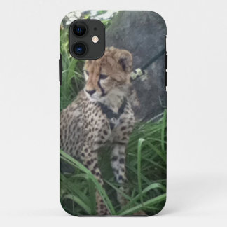 Gepard iPhone Fall Case-Mate iPhone Hülle