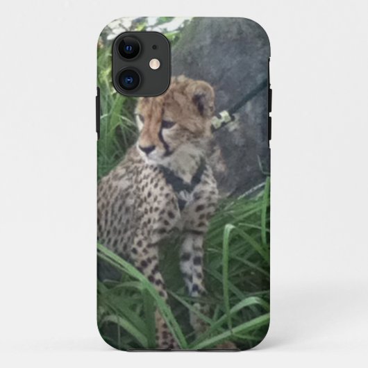 Gepard iPhone Fall Case-Mate iPhone Hülle (Rückseite)