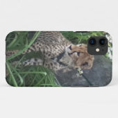 Gepard iPhone Fall Case-Mate iPhone Hülle (Rückseite (Horizontal))