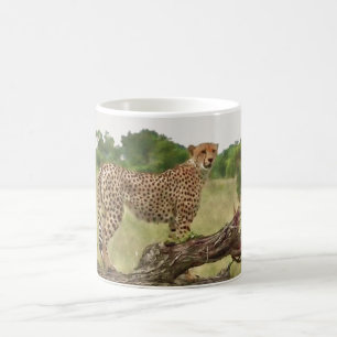 Gepard Kaffeetasse