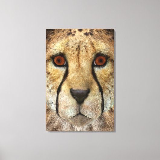Gepard Leinwanddruck (Vorderseite)