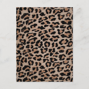 Gepard Leoparden Druck Postkarte
