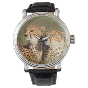 Gepard liegt im Gras, Ngorongoro-Schutzgebiet Armbanduhr