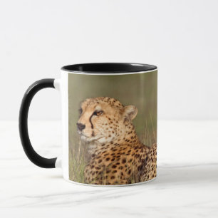 Gepard liegt im Gras, Ngorongoro-Schutzgebiet Tasse