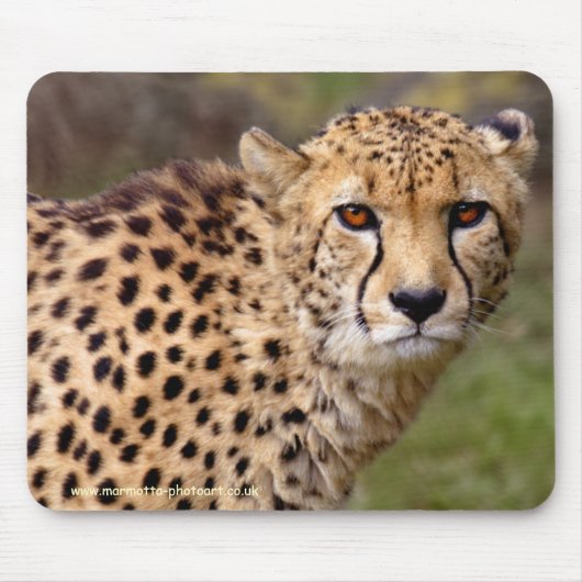 Gepard-Mauspad Mousepad (Vorne)