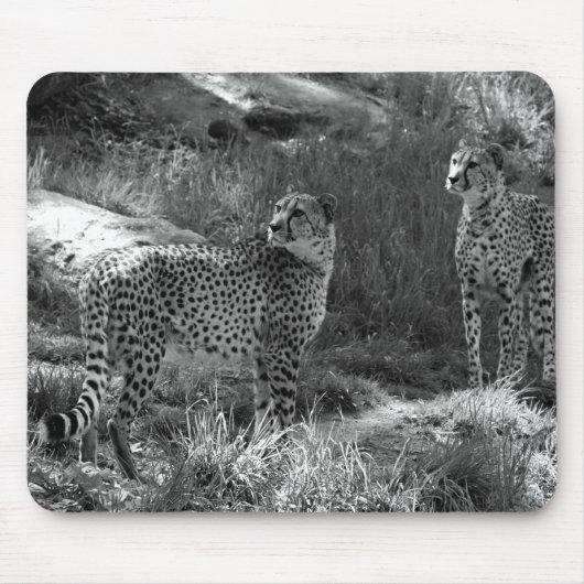 Gepard-Mausunterlage Mousepad (Vorne)