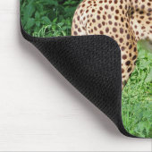 Gepard Mousepad (Ecke)